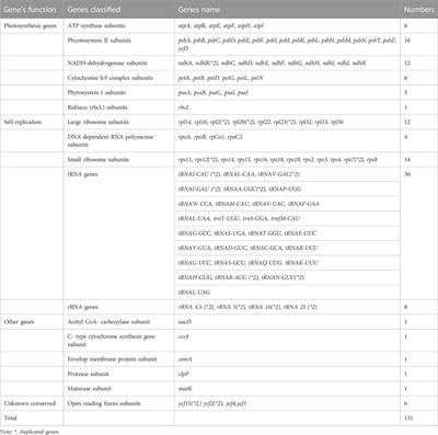 Comparative genomics analysis of endangered wild Egyptian Moringa peregrina (Forssk.) Fiori plastome, with implications for the evolution of Brassicales order